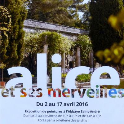 ALICE ET SES MERVEILLES